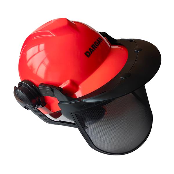 Dargan3 In 1 Forestry Safety Helmet